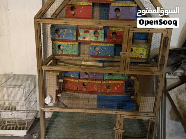 قفص مثلث مع 21بيت طير حب