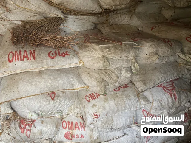 تمور نفيعة للبيع