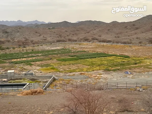 Farm Land for Sale in Al Dakhiliya Sumail