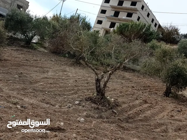ارض صالحة للبناء