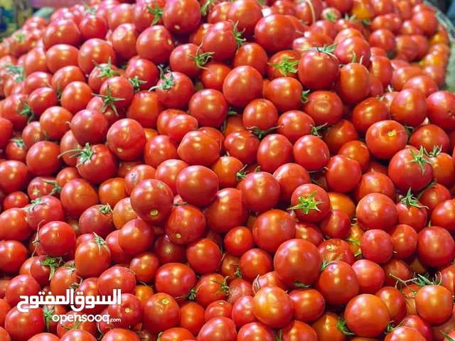 مطلوب ممول مشروع استيراد خضار وفواكه من اليمن