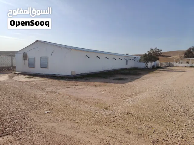 مستودعات عدد 2 بمساحة 1100 متر كل مستودع 550 متر على أرض 18 دونم مع أسوار و بوابات تصلح لأي مصنع