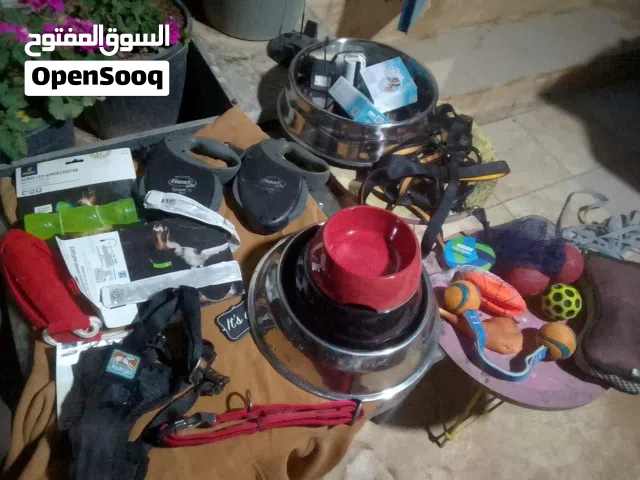 اكسسوارات للكلب