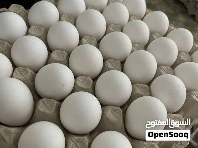 بيض بياض طازة نضيف