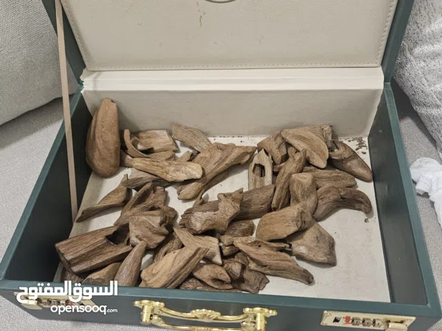 عود مروكي آصقون طبيعي