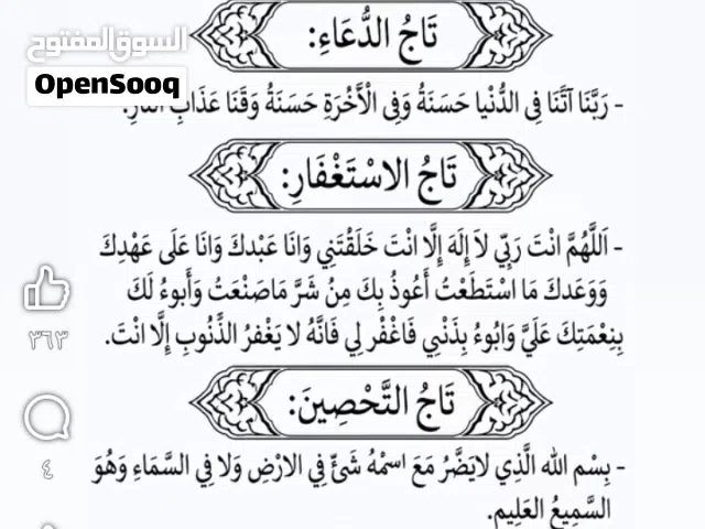 متوفر بط بياض عدد 3 ذكرين وانثى
