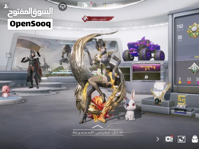 حساب ببجي مرتب بسعر حررق(متوفر فيديو)