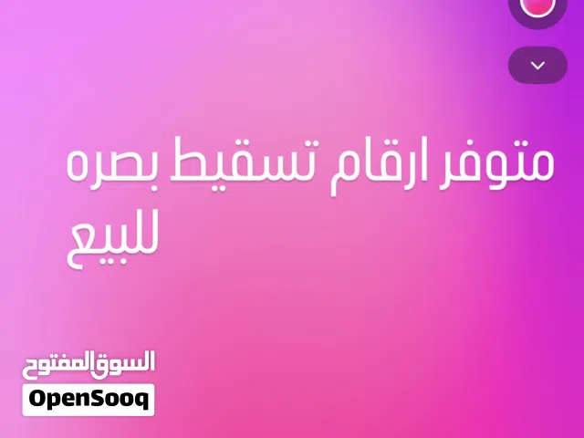 متوفر ارقام تسقيط بصره