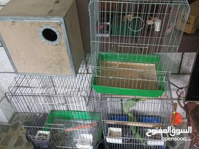 قفاص استعمال خفيف البيع