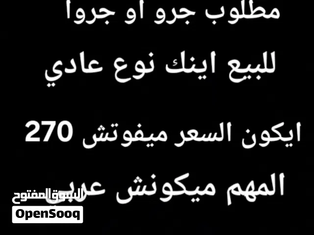 سلام عليكم مطلوب جرو او جروا للبيع ايكون اصغير او كبير عادي او ايكون نوع شيواوا السعر ميفوتش 250
