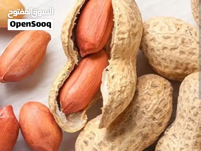 Peanut الفول السوداني