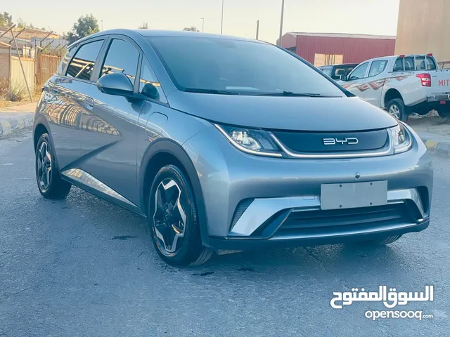 Byd Dolphin 2022