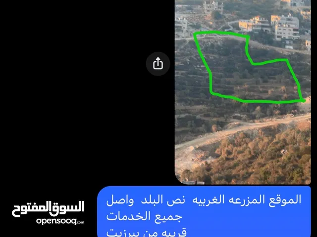 Commercial Land for Sale in Ramallah and Al-Bireh Al Mazra'a Al Gharbiya