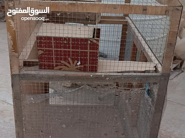 قفص طيور حب
