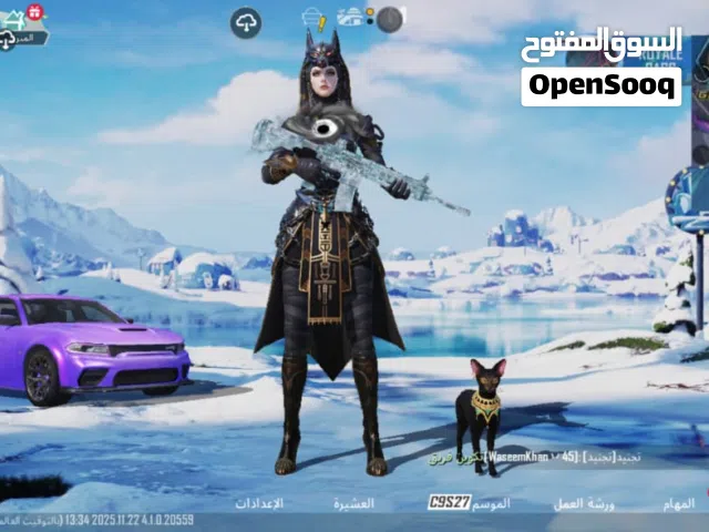 Pubg Accounts and Characters for Sale in Dubai
