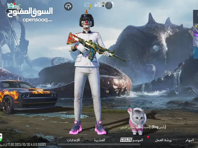 Pubg Accounts and Characters for Sale in Giza