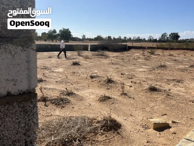 ارض في ولاد جابر (ساعدية) حوالة او كاش