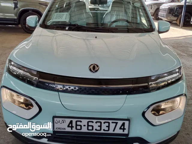 New Dongfeng Box in Amman