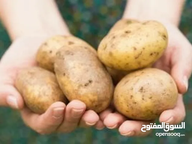 للبيع معمل جاهز للاستثمار معمل لصناعة رقائق الشيبس الطبيعي 100% وقلي البليت النصف مصنعه