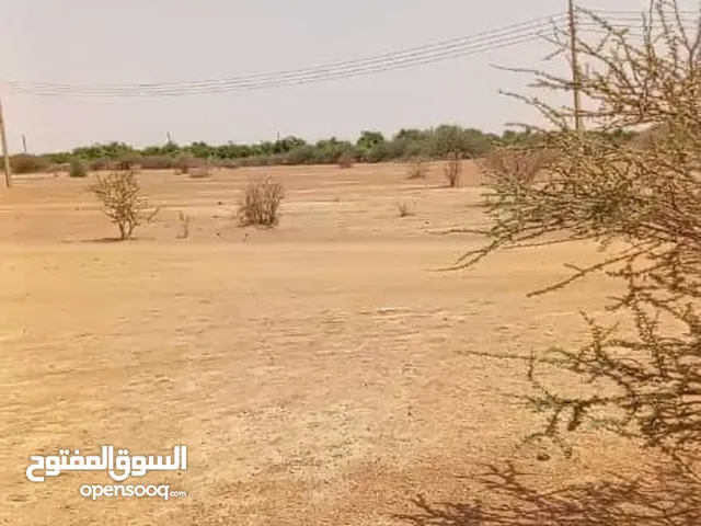 Farm Land for Sale in Khartoum Omdurman