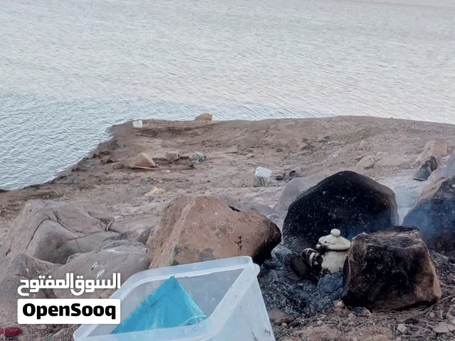 مطلوب لوح مرتك