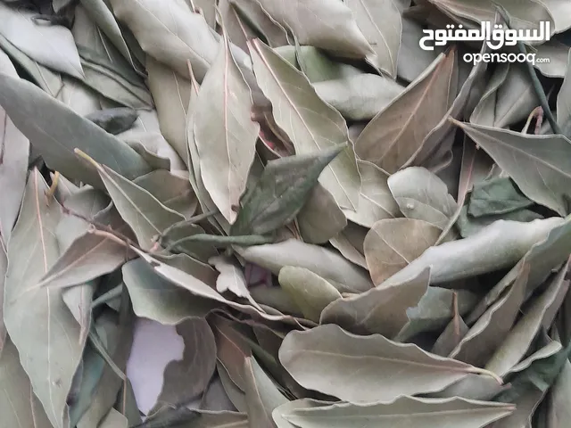 ورق غار مغسول ومجفف طبيعيا الوقيه +ميراميه الوقيه