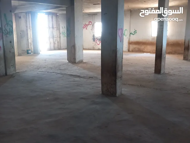 دورا / سنجر