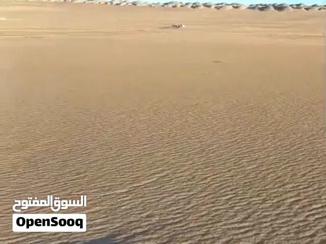 Farm Land for Sale in Giza Bahariya Oasis