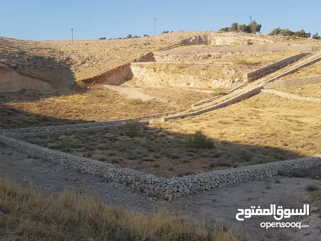 Farm Land for Sale in Jerash Unaybah