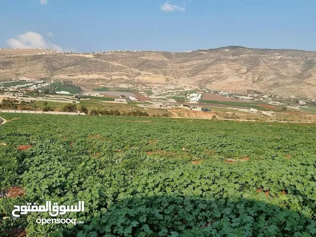 Mixed Use Land for Sale in Nablus Al Nassariya