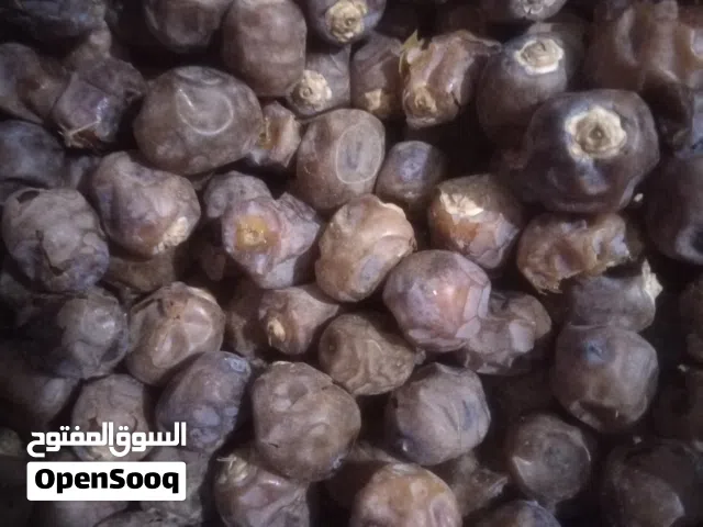 تمر برحي حر مال ابو الخصيب