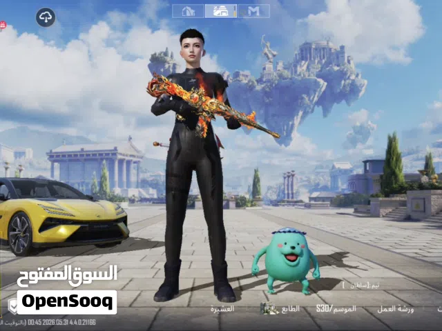 Pubg Accounts and Characters for Sale in Northern Governorate