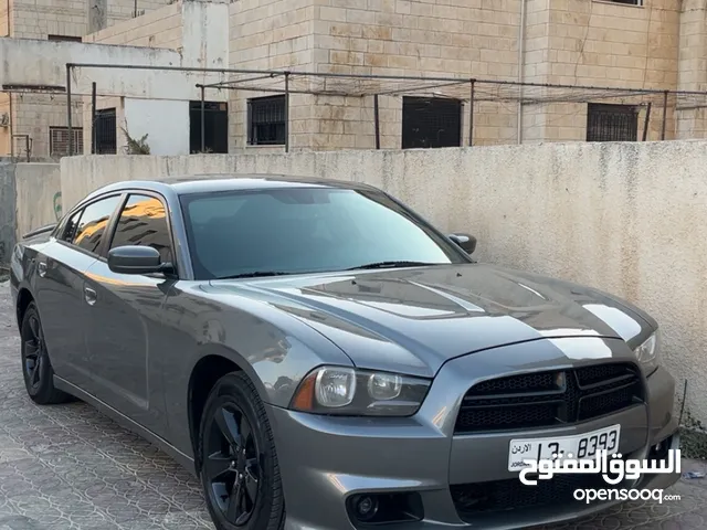 Used Dodge Charger in Amman