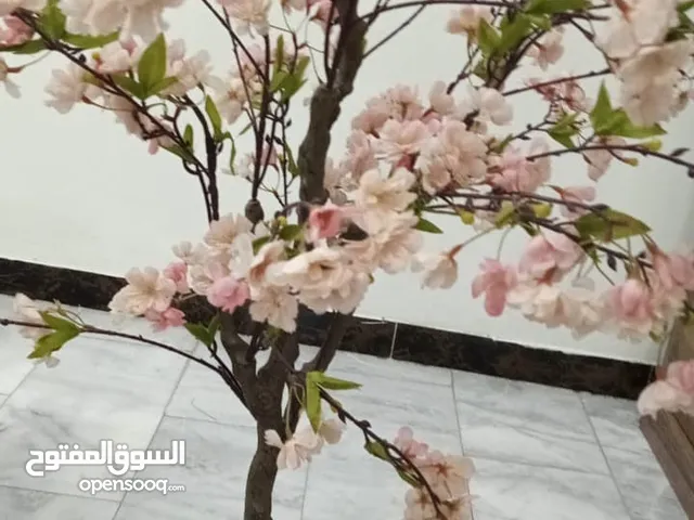نبات اصطناعي