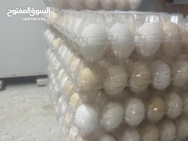 بيض عضوي بلدي للأكل من المزرعه