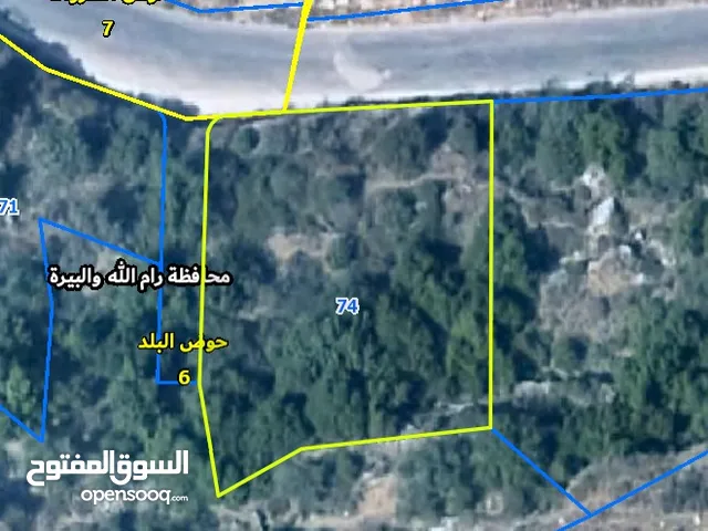 عجول قطعة ارض 871 متر كوشان طابو مستقل سلطة أ