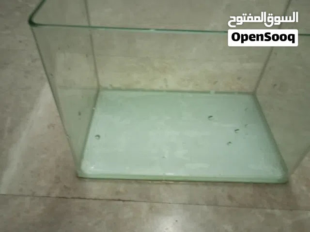 Turtle Aquarium
