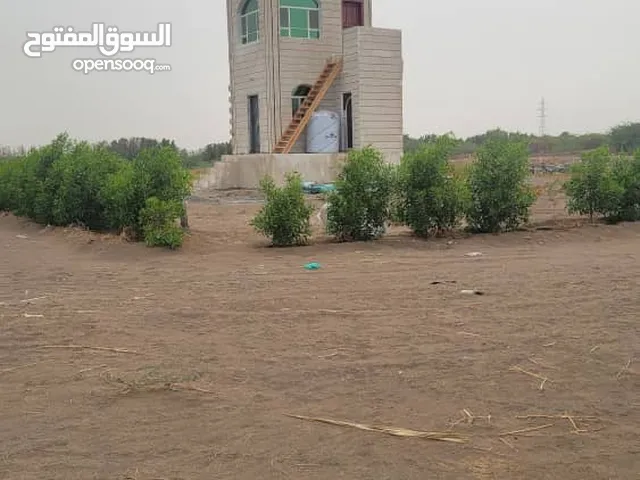 Residential Land for Sale in Al Hudaydah Al Hudaydah Port