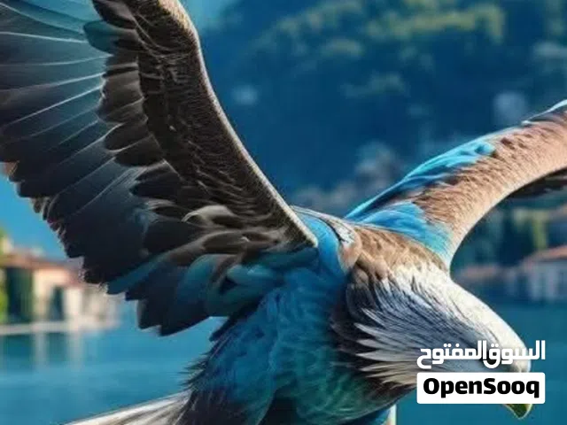مصنع بلوك استعمل نضيف