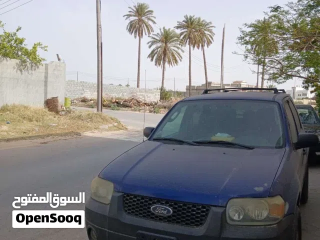 2007 فورد اخرى