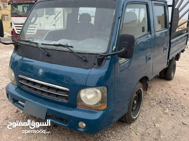 ديانا بيجو 2003
