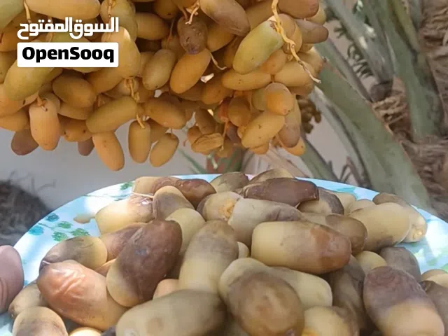 رطب نغال في مسقط