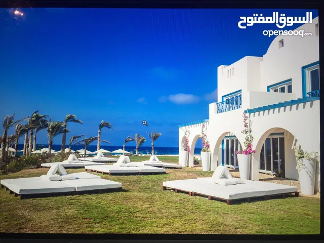 شاليهات بأسعار منخفضه في راس الحكمه وبأقل مقدم وتقسيط اطول