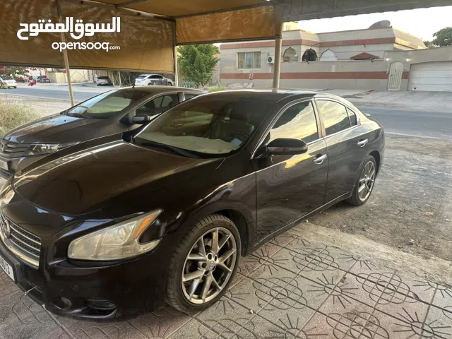 سياره نيسان مكسيمه 2010