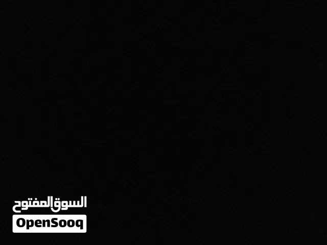 مطلوب عجل نمساوي صغير قيمته من 150وتحت