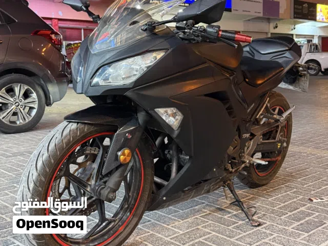 2013 كاواساكي Ninja 300
