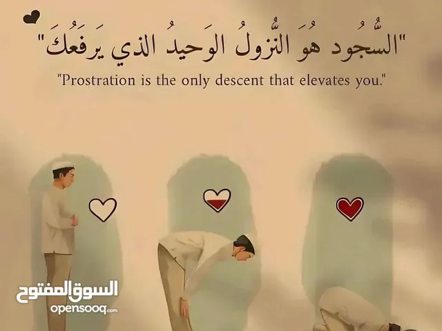 محمد الدبوبي