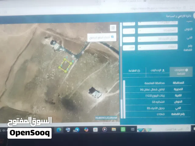 Residential Land for Sale in Amman Zinat Al-Rubue
