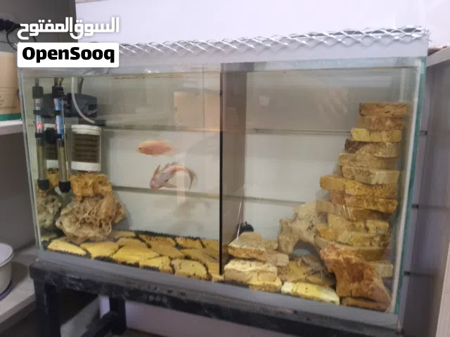 حوض بكامل ملحقاته