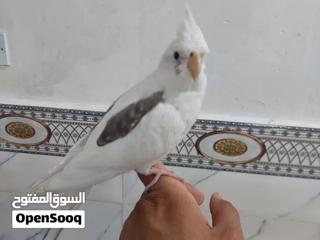 كوكتيل بصمة